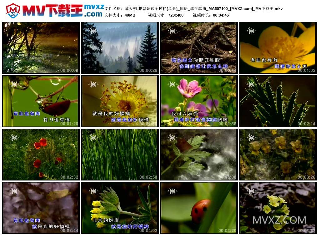 臧天朔-我就是这个模样(风景)_国语_流行歌曲_MA507100